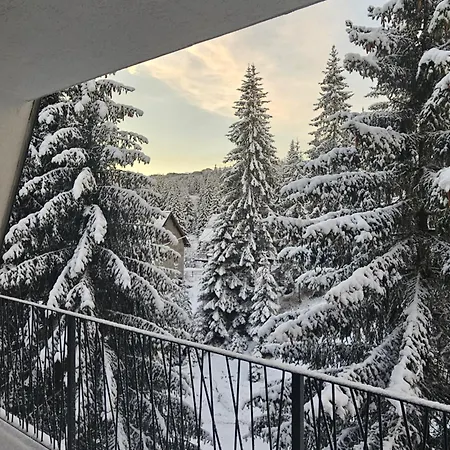 Snowvalley *