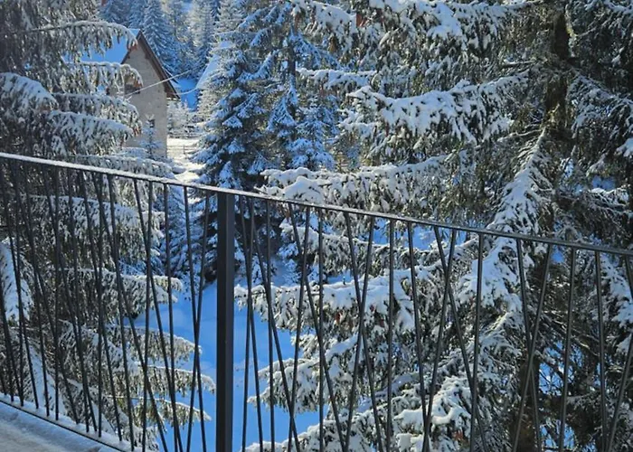 Apartment Snowvalley